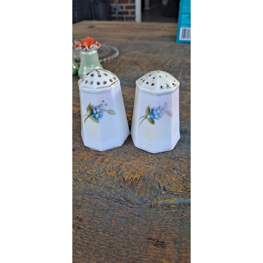 Nippon‎ Hand Painted Floral Salt & Pepper Shakers